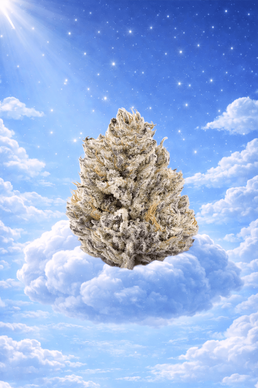 Purple Punch Green House Flower 14g (Sativa) - Sticky Green Flower