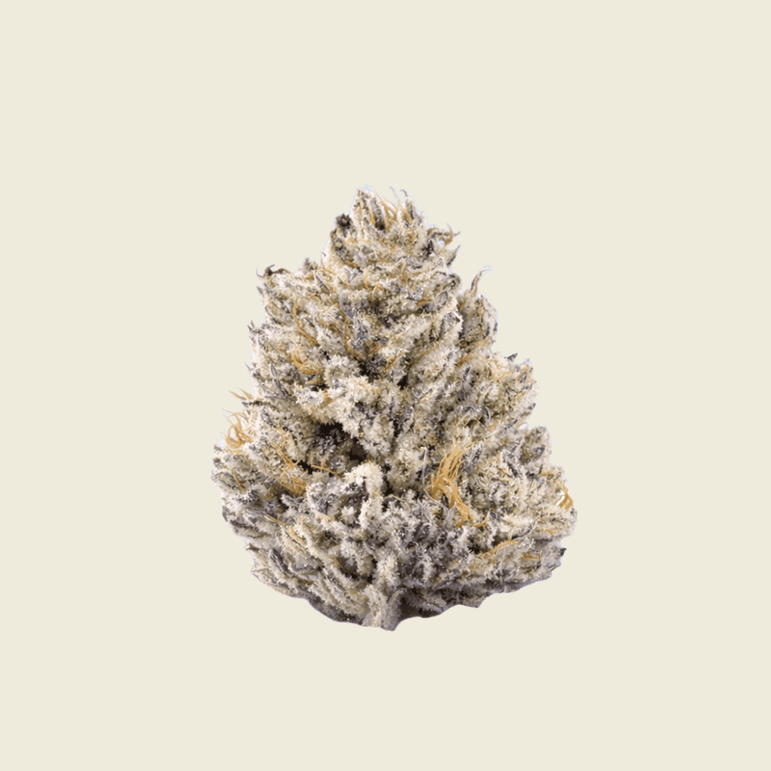 Purple Punch Green House Flower 14g (Sativa) - Sticky Green Flower