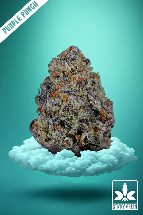 Purple Punch Green House Flower (Sativa) - Sticky Green Flower