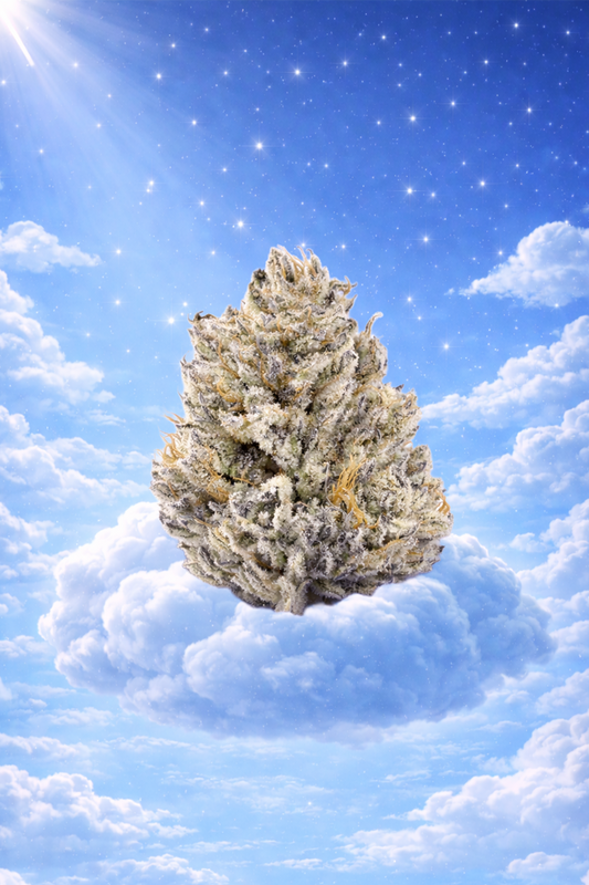 Purple Punch Flower 14g