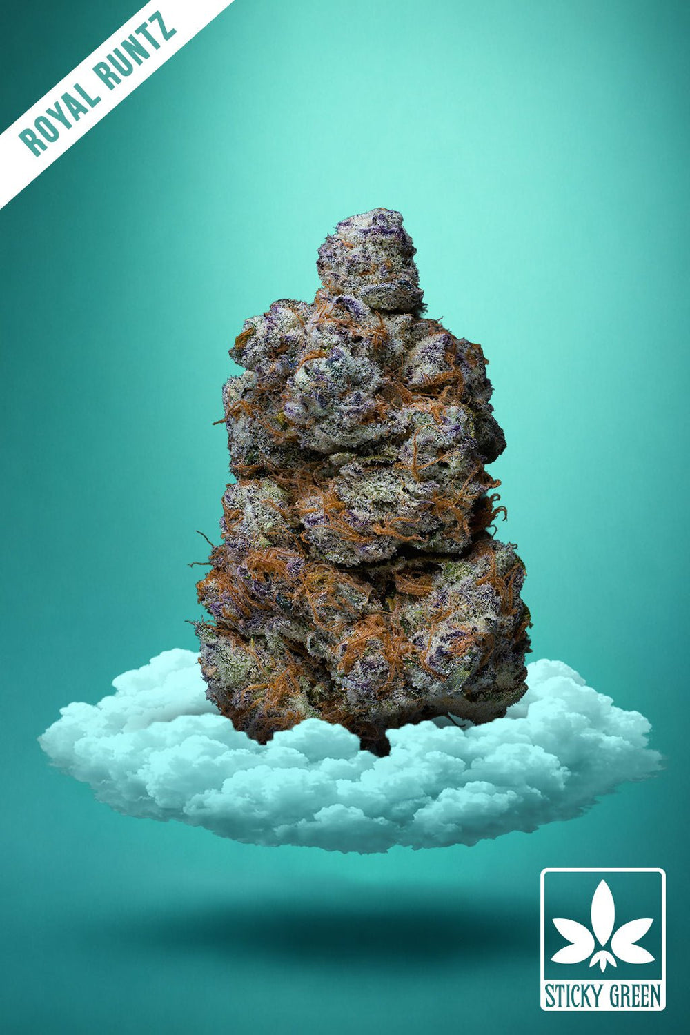 Royal Runtz Private Reserve hemp flower bud, Hybrid cultivar from Sticky Green