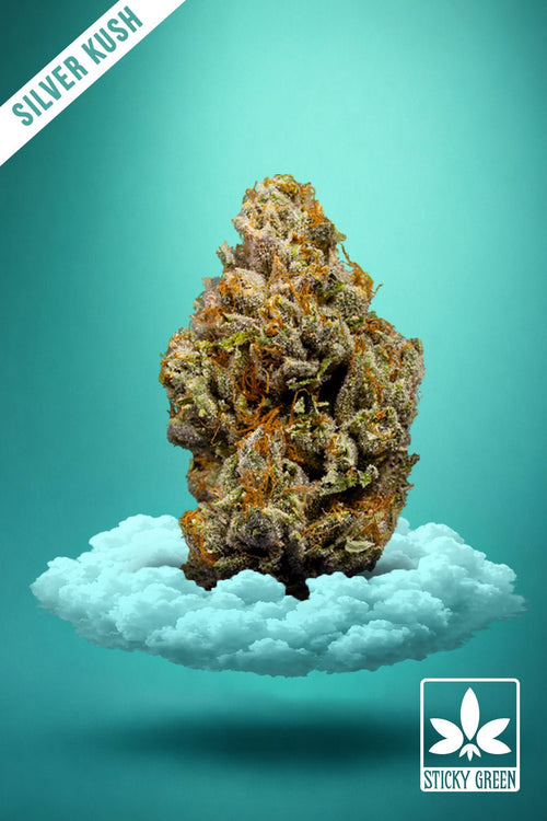 Silver Kush High Grade Flower (1oz) - Sticky Green Flower