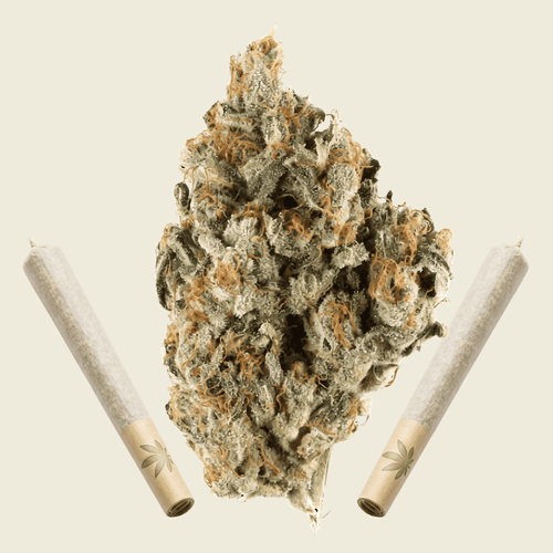 Silver Kush High Grade Pre Rolls (hybrid)