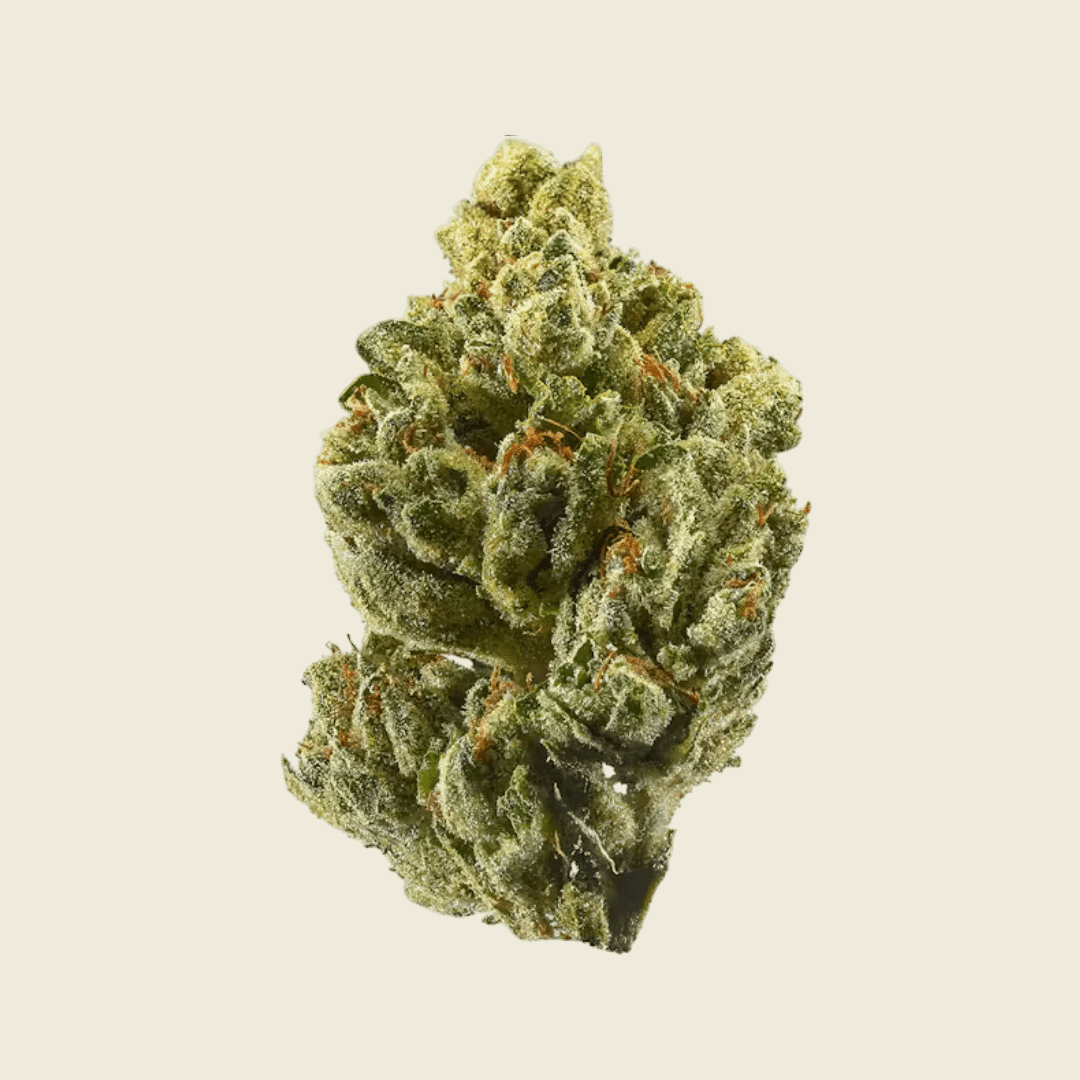 Top Shelf Flower 20 Pack (1g Each) - Sticky Green Flower