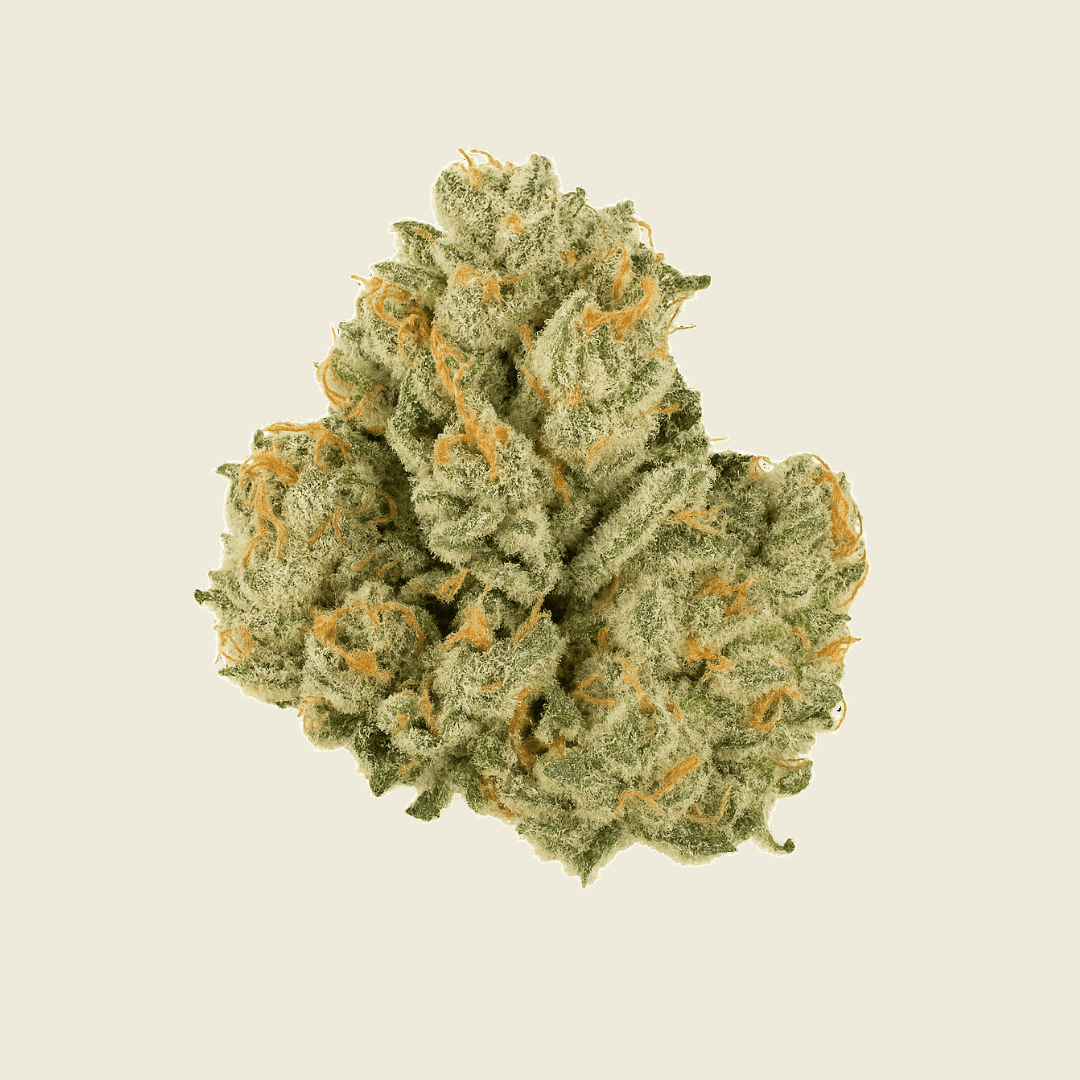 Top Shelf Flower 20 Pack (1g Each) - Sticky Green Flower